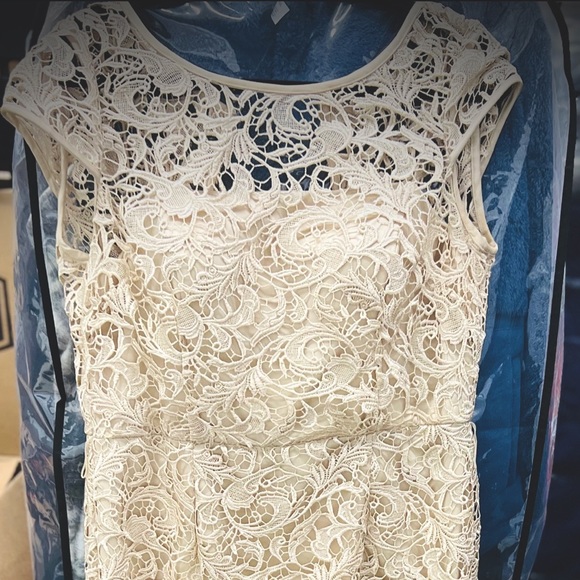 Elegant formal cap sleeve lace column gown by Adrianna Papell. - Picture 1 of 11